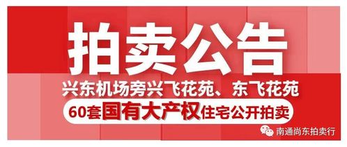 興飛60套大產權住宅拍賣公告